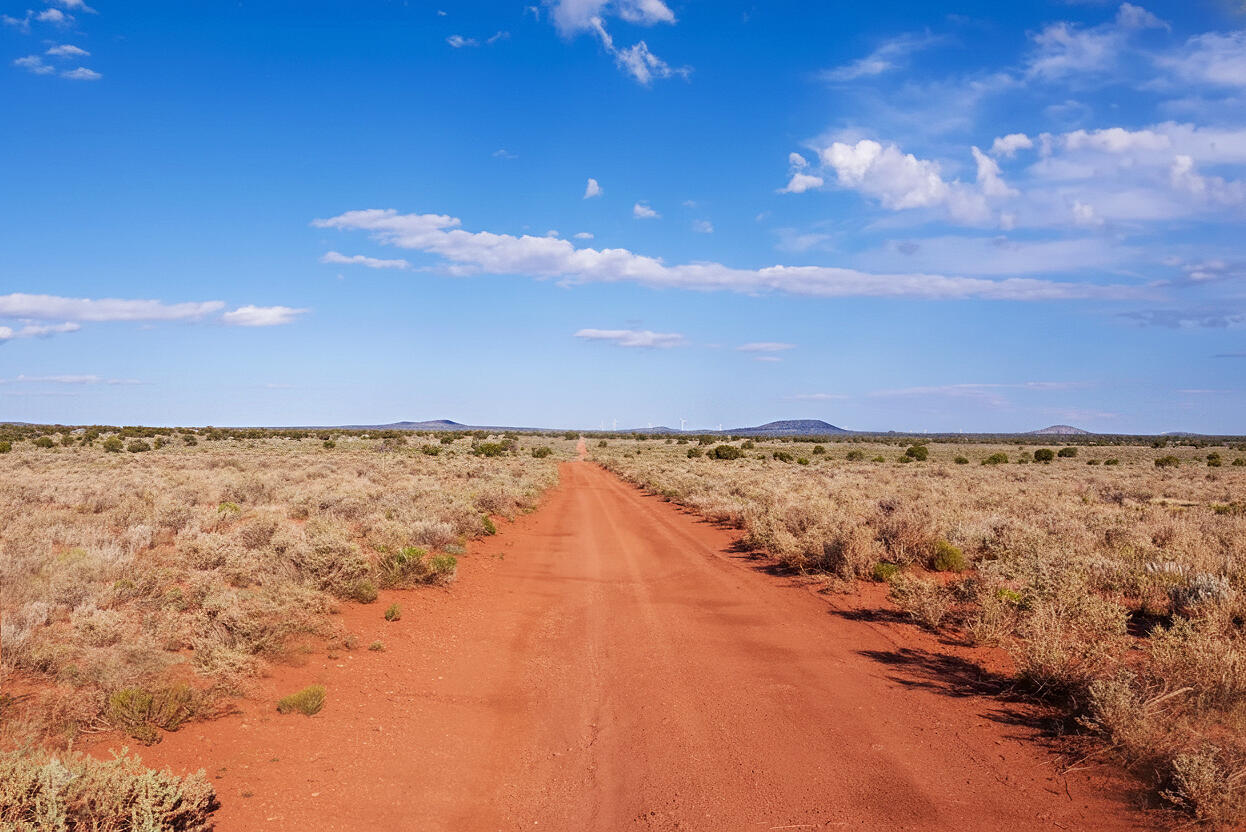 Coconino 1.09 Acres, 50129025 Corner - 2023 PAGE DR, WILLIAMS, AZ 86046