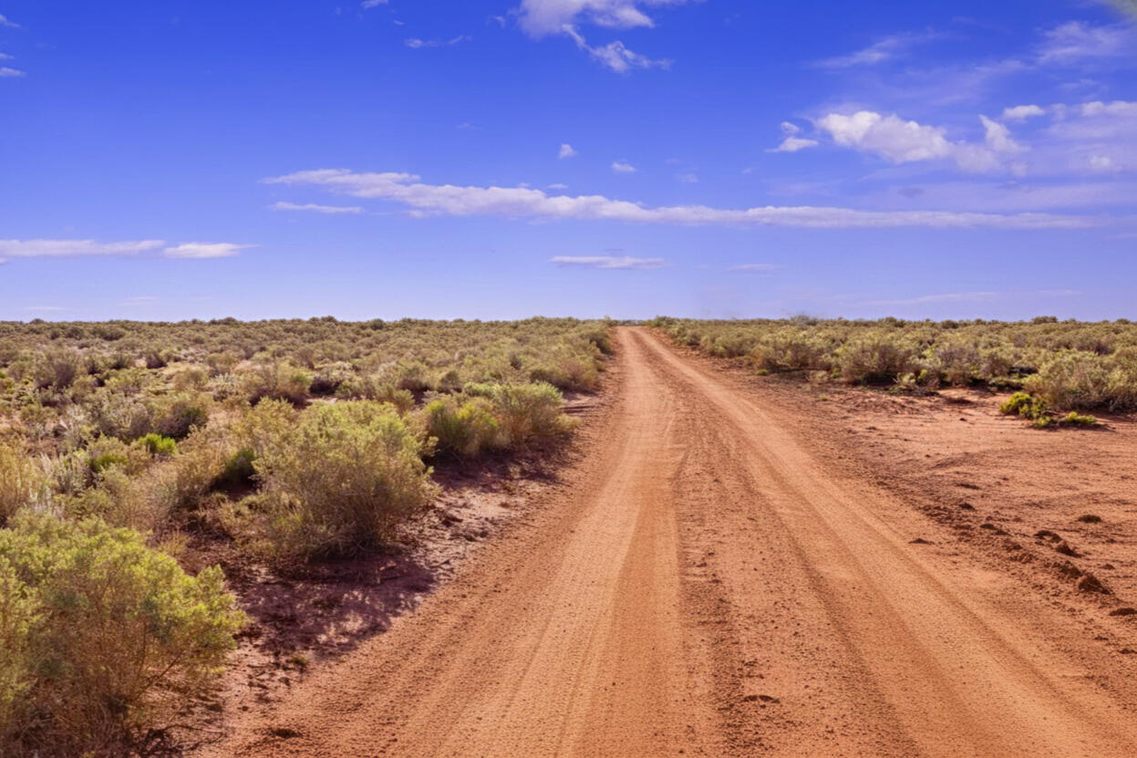 Coconino 1.09 Acres, 50129025 Corner - 2023 PAGE DR, WILLIAMS, AZ 86046