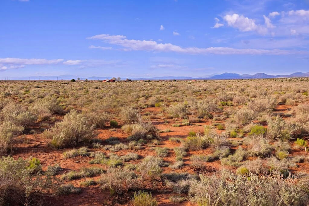 Coconino 1.09 Acres, 50129025 Corner - 2023 PAGE DR, WILLIAMS, AZ 86046