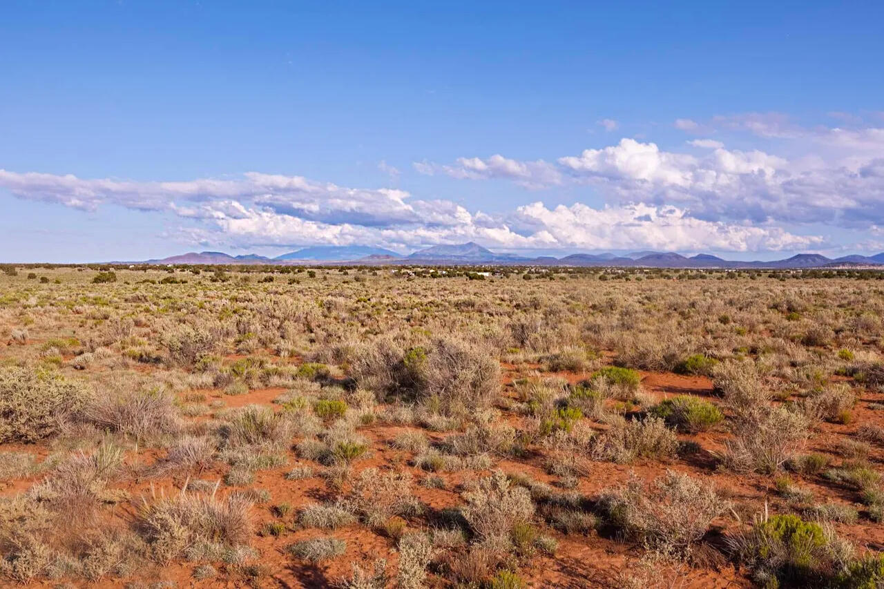 Coconino 1.09 Acres, 50129025 Corner - 2023 PAGE DR, WILLIAMS, AZ 86046